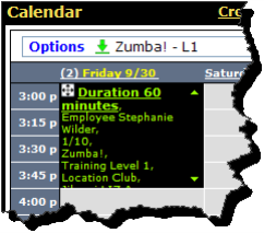 cs_calendar_entry.png
