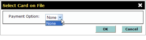 no_pmt_options_card_on_file.png