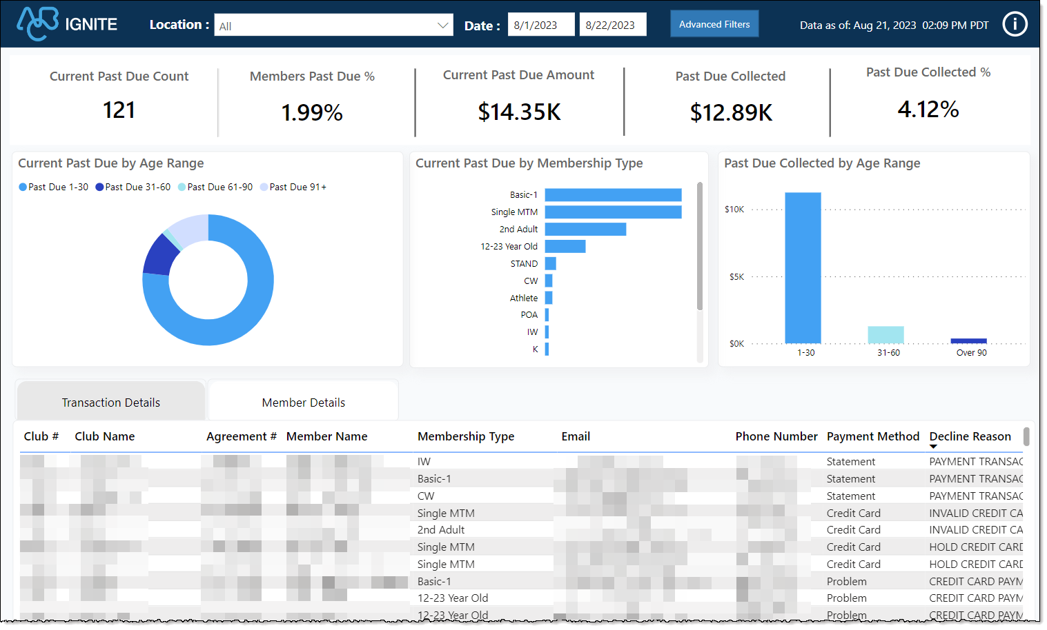 Past Due Analysis Dashboard